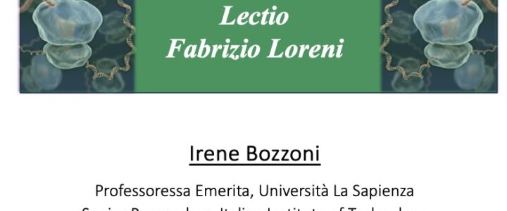 Irene Bozzoni