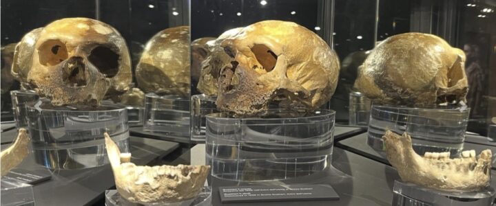 Laboratorio Neanderthal Laboratorio Neanderthal