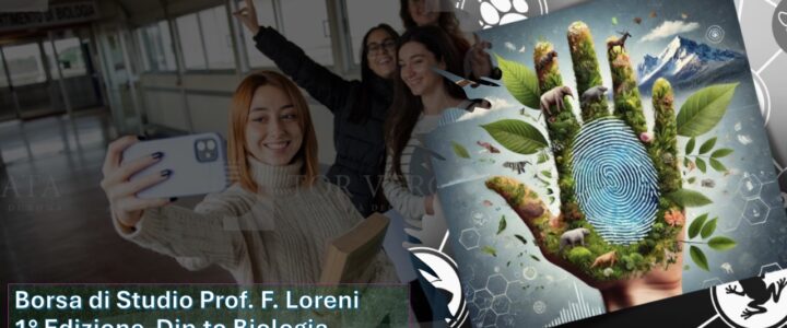 Borsa di Studio“Prof. F. Loreni”