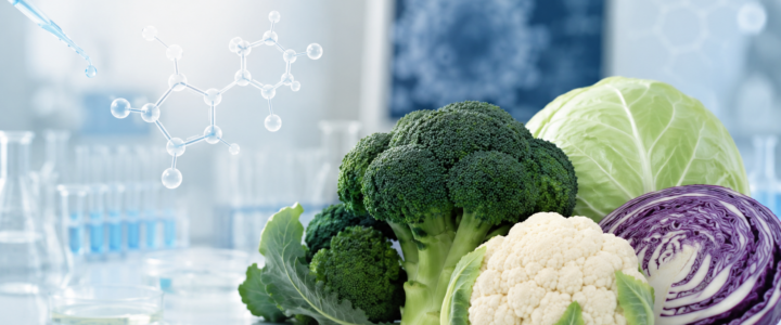 Covid-19, dai broccoli una molecola contro virus e infiammazione Covid-19, dai broccoli una molecola contro virus e infiammazione